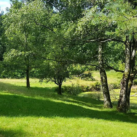 Le Faucon - Col Du Donon * Grandfontaine (Bas-Rhin)