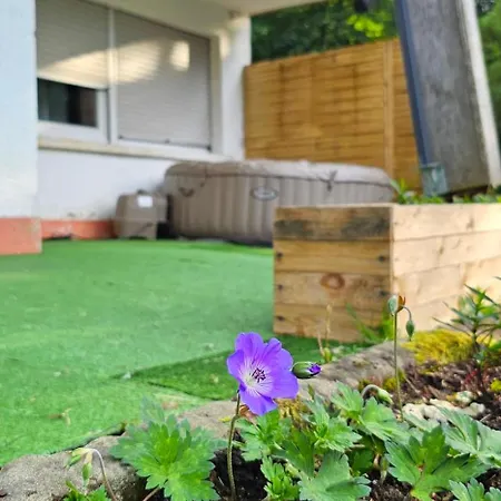 Le Grand Tetras - Col Du Donon